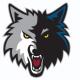   Mississauga Wolves